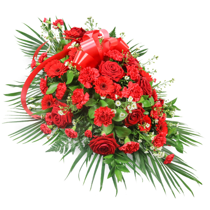 An elegant red funeral arrangement is portrayed against a bright white background, its elongated, asymmetrical form designed to be viewed from one side as it decorates a casket or sits at the head of a service. The centre of the piece is densely packed with velvety red roses, a mix of fully blown blooms and tighter buds that together create a sense of movement and layered emotion. Each rose is a deep, almost wine-red hue, the petals curving in soft spirals that feel both classic and timeless. Wrapped around this core are generous clusters of red carnations, their finely frilled petals opening into rounded shapes that add volume and a plush, comforting appearance. Among these, striking red gerbera daisies appear at intervals, their broad, flat petals radiating from dark central disks, giving the arrangement a slightly contemporary flair while remaining deeply respectful. Threads of delicate white filler flowers are interspersed throughout the red blooms, sparkling like tiny stars and providing just enough contrast to highlight the rich crimson shades without diluting their power. All of the flowers are anchored in an impressive framework of greenery, where long, arcing palm fronds extend outward, shaping the spray into a sweeping, teardrop-like outline that gently tapers towards one end. Smaller, denser foliage in dark green tones is layered beneath the blooms, creating depth and ensuring that every stem looks intentionally placed. Occasional fern-like fronds add a feathery lightness, softening the overall structure. Near the top centre sits a large bow made from glossy red satin ribbon, its multi-looped form and trailing ends adding a ceremonial touch and drawing the eye along the length of the design. Created with the sensitivity and skill of a Collier Row florist who regularly prepares tributes for services around Collier Row and nearby Romford, this spray radiates dignity, love, and heartfelt farewell.