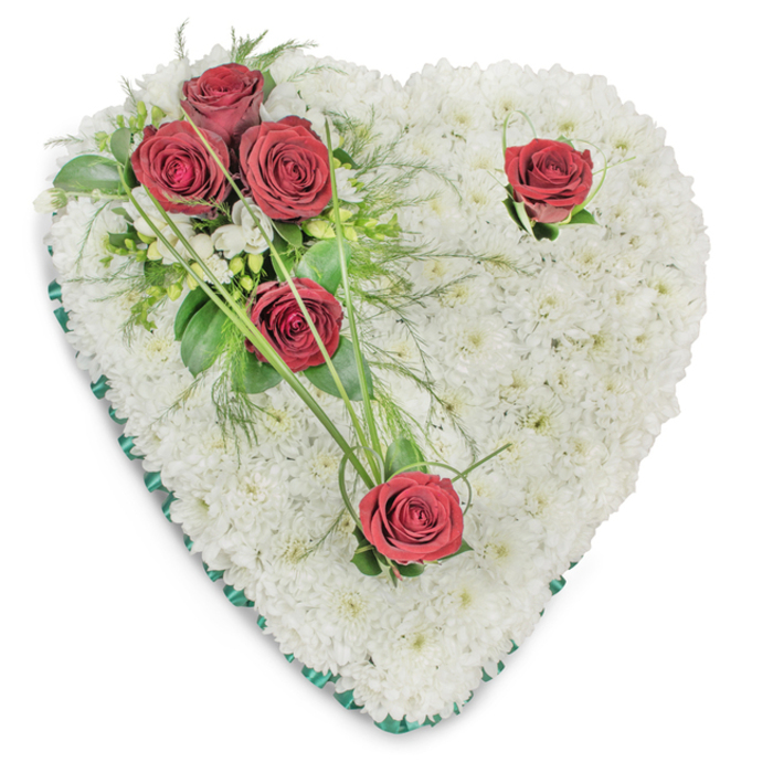 Rendered against a plain white background, this traditional heart-shaped wreath is entirely composed of hundreds of small white chrysanthemums that create a soft, cushion-like texture across the whole form; the tiny blooms are closely packed, their sculpted surface catching a soft top light that reveals delicate shadows and a tactile sense of depth. On the upper left the designer has arranged a striking cluster of three deep, velvety red roses, their fully unfurled petals contrasted by a graceful mix of glossy broad foliage and slender, fern-like fronds that add both weight and airiness. Incorporated among the greens are fine, arching blades of bear grass and a few very small white filler blooms, which provide subtle accents without drawing attention away from the central heart. Two further red roses are placed with intention - one poised near the upper right curve and another toward the heart's point - each accompanied by small green leaves and gently curved grass strands that embrace the bloom and lead the viewer's eye across the composition. A thin emerald-green satin ribbon trims the entire outer edge, offering a discreet but formal border that crisply defines the silhouette. The overall effect is one of composed dignity: the pristine whites suggest purity and peace, the crimson roses speak of deep love and sorrow, and the carefully considered foliage gives the tribute an organic flow-an arrangement appropriate for memorial services in Collier Row, Romford churches, or local crematoria.