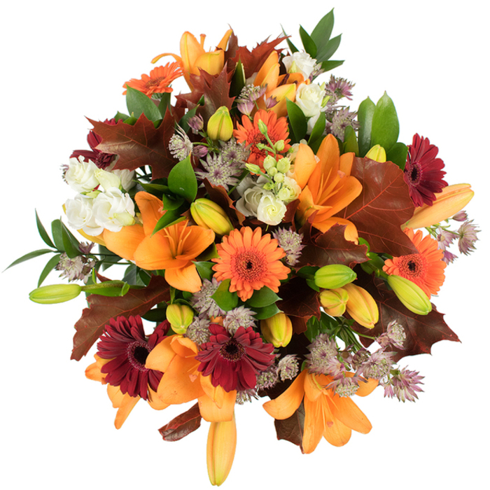 A lush, elevated view of an autumnal floral arrangement that reads like a local Collier Row harvest laid out on a bright, clean canvas. Several large orange Asiatic lilies take centre stage, their wide trumpet petals unfurling with luminous warmth, while numerous tightly furled lily buds in palest orange and green promise continued freshness. Around them, cheerful orange Gerbera daisies and deep burgundy-red Gerberas punctuate the bouquet, each with a defined dark eye that lends rustic character. Creamy white Lisianthus (Eustoma) blooms with ruffled, layered petals offer soft contrast, and clusters of purple-grey Astrantia introduce delicate, star-like texture and an airy intricacy that prevents the massing of colour from feeling heavy. Broad, deeply lobed leaves in reddish-brown, reminiscent of fallen oak or maple, are artfully woven into the design to emphasise the season; these are balanced by lively green foliage and slender supporting stems that give the bouquet structure and vitality. The piece is tightly packed and freshly arranged, photographed under bright lighting against a pristine white backdrop so that every hue-orange, burgundy, brown, green, and cream-reads vividly and cleanly. The arrangement would work beautifully as a Thanksgiving centrepiece, an autumn wedding accent, or a heartening gift for someone who treasures the changing season. As florists at Collier Row Flowers on the edge of Romford, we aim for this kind of dense, textural warmth that nods to local hedgerows, High Street markets, and the soft rustle of leaves along nearby lanes.