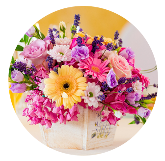 Birthday Flowers Collier Row